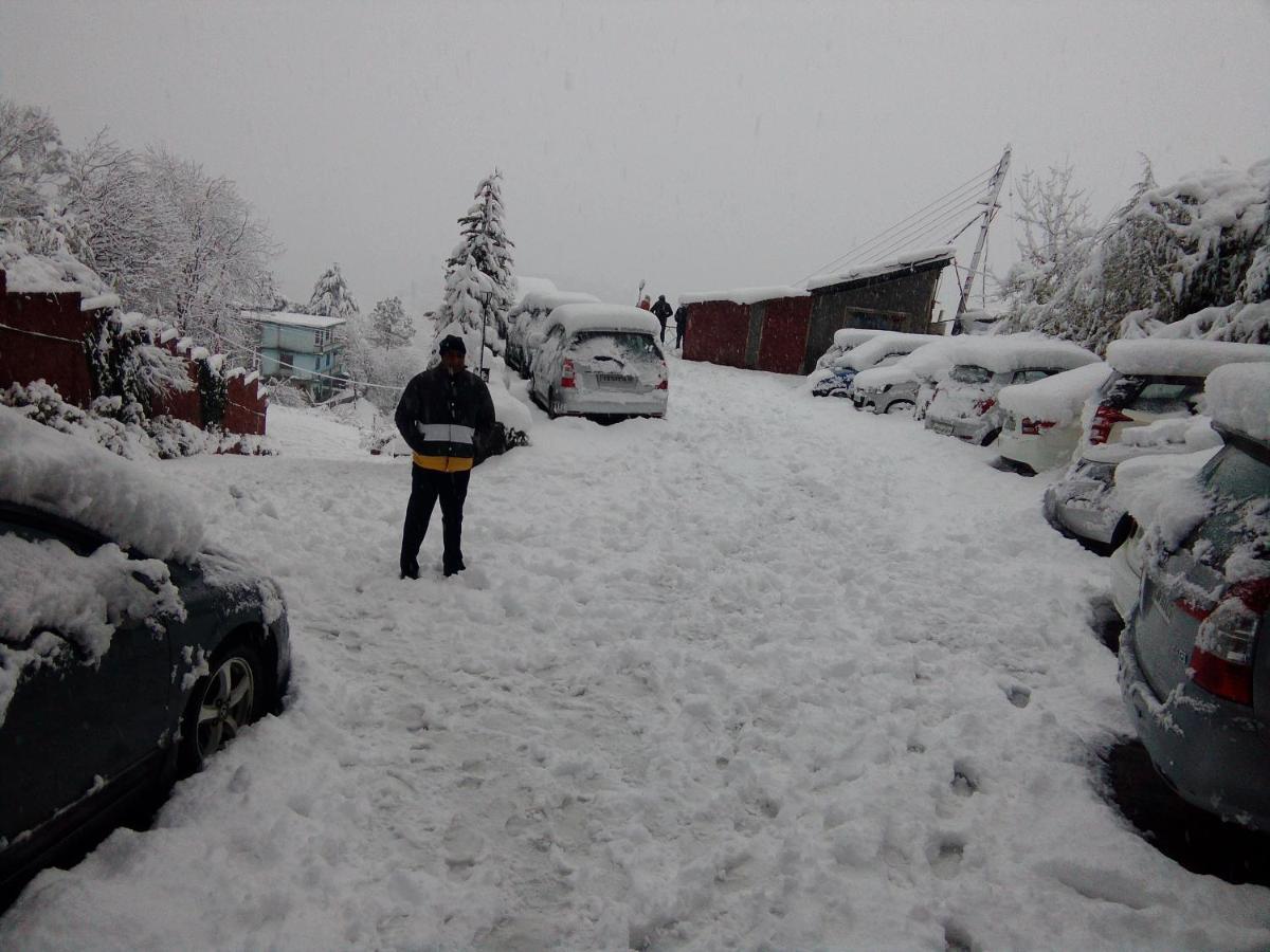 The Chalets Naldehra Shimla Esterno foto